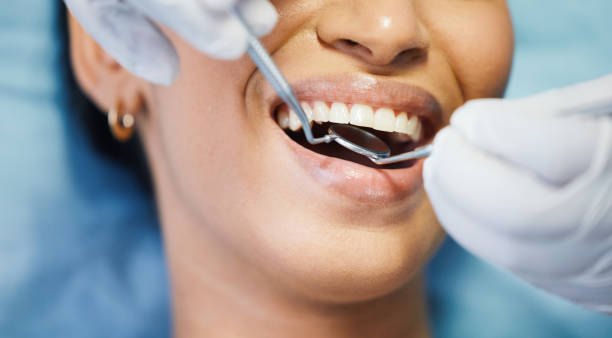 Our Range of Dental Services in Oakleaf Plantation, FL